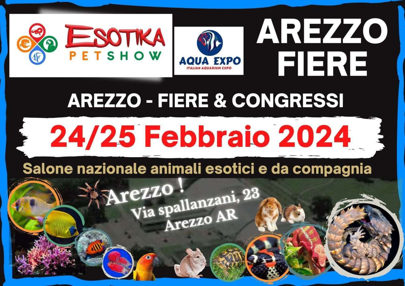 Appuntamento ad Arezzo Fiere e Congressi il 24 e 25 Febbraio