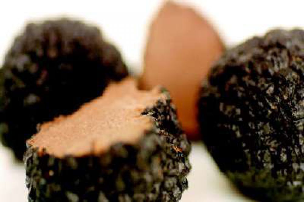 Sagra del Tartufo