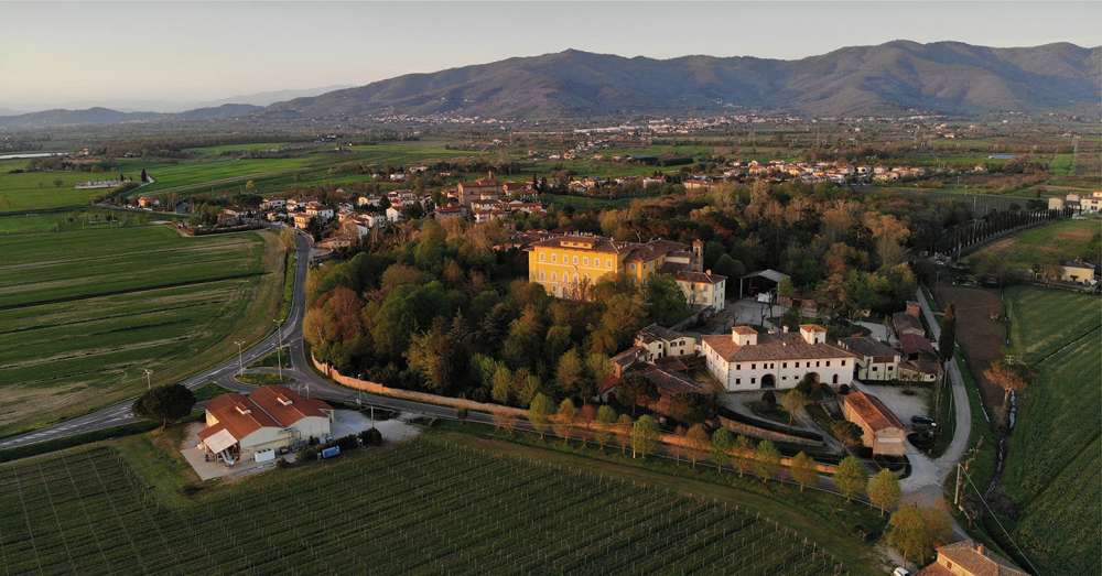 Wine tour Arezzo