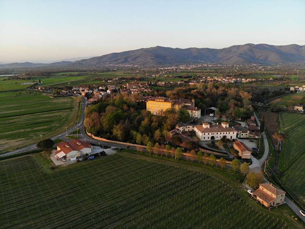 Degustazione Vino presso la Tenuta di Frassineto